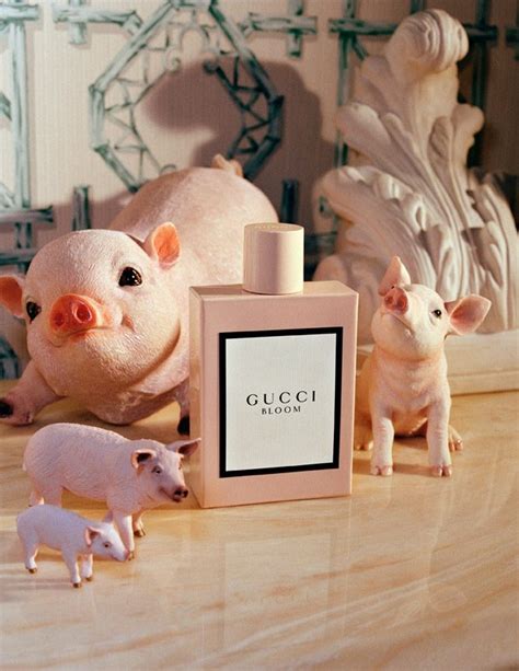 gucci disney pig price|gucci chinese new year capsules.